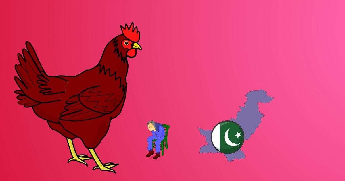 पाकिस्तान में chicken rate  500 रुपये के पार