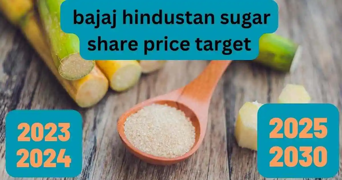 bajaj hindustan share price target 2023 से 2030 तक क्या टारगेट नजर आ सकते है