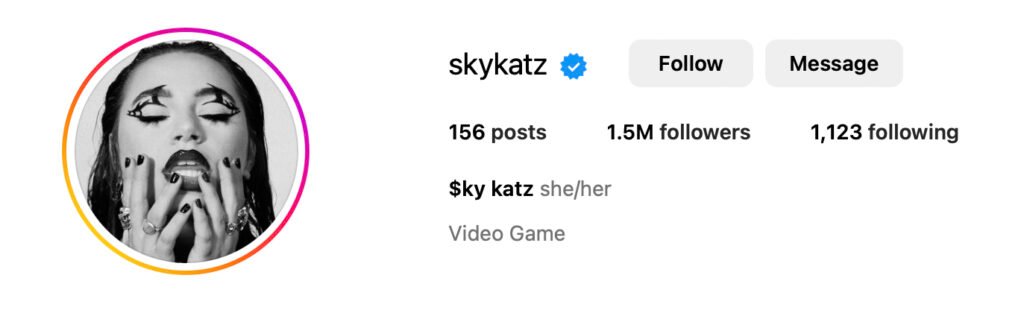 skykatz instagram